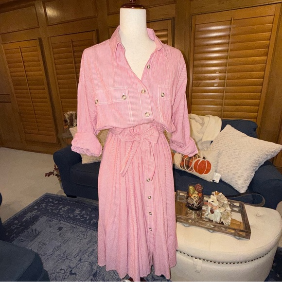 🌸 Free People Pink Striped Button-Front Shirt Dress‎ - Small, Old Money - Picture 7 of 13